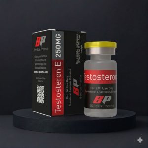 TESTOSTERON E 250MG